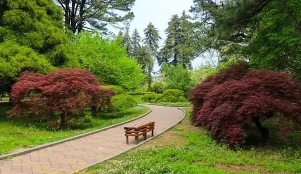 Botanical Garden
