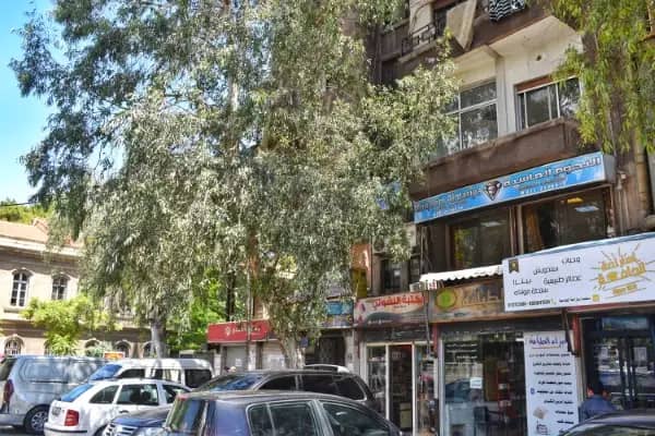 Syria office 4