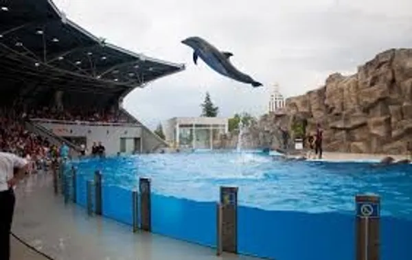 dolphinarium aquarium