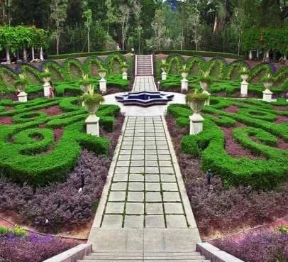 Bhutani flower garden